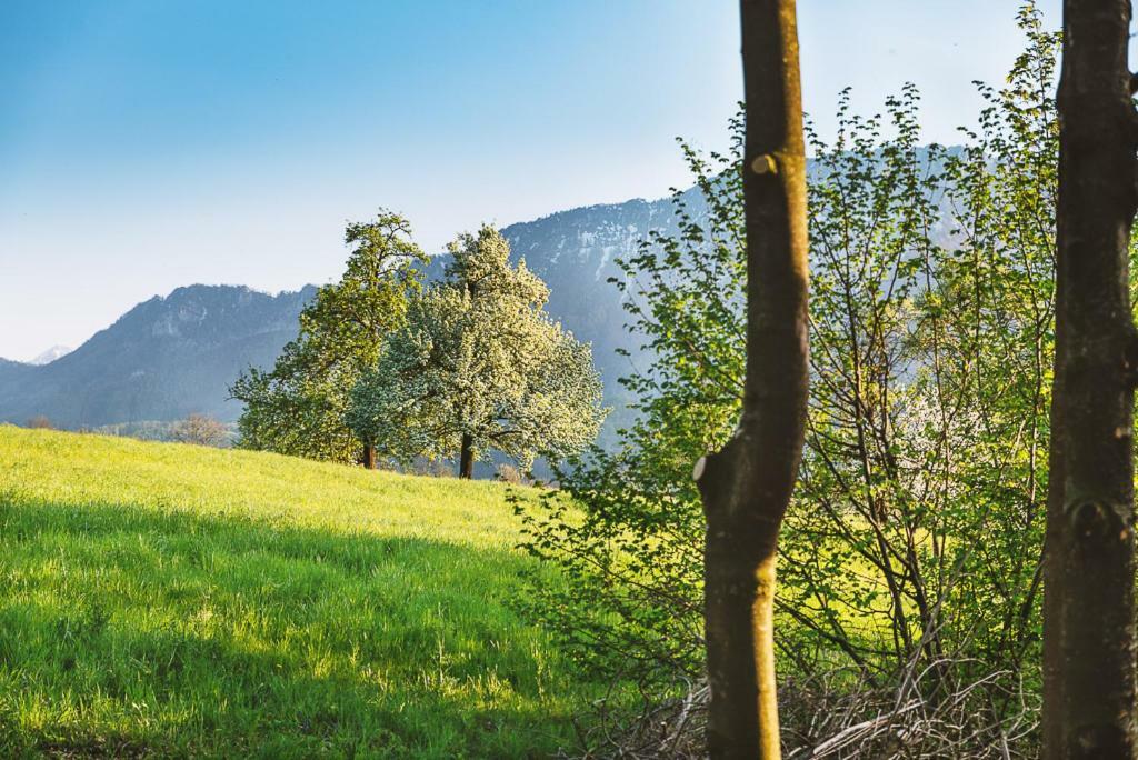 Auszeit Beim Oswald Villa Micheldorf in Oberosterreich Exterior photo